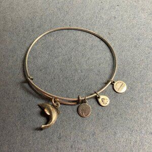 Alex & Ani Charm Bracelet 3 In SIlver Slider Dolphin Dandelion Dangle USA Energy